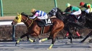 【ジャニュアリーS】12番人気モンドプリュームが波乱を演出