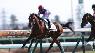 【中山7R】フィーリウスが抜け出す…断然人気レッドバンデは5着敗退