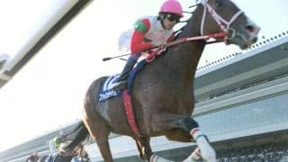 『ウマ娘』ではアイルランドからの留学生　無傷の６連勝でＧＩ２勝を挙げたファインモーションの段違いの強さ