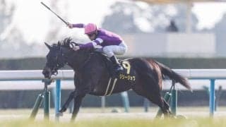 【紅梅S】リリージョワが無傷の3連勝…圧倒的なスピード能力で押し切る
