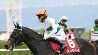 AJCC、プロキオンSなど3重賞/今週の競馬界の見どころ