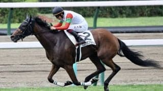 【小倉牝馬S登録馬】ココナッツブラウンなど23頭