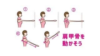 しなやかな背中と腕をつくろう！「肩甲骨エクササイズ」