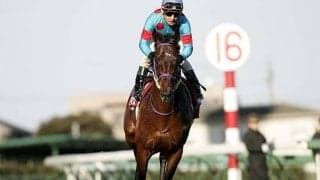 00年代の名バイプレイヤー シルクフェイマスが制したAJCCから20年