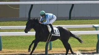 【船橋・ブルーバードC枠順】連勝中のカタリテは5枠7番、前走で大差勝ちのフィンガーは8枠13番