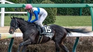 【プロキオンS見どころ】ロードクロンヌが重賞初制覇を狙う