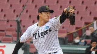 元阪神・森木大智はNPB復帰できるか？過去5年で復帰した2投手は独立リーグで無双