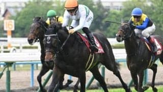 【AJCC想定騎手】ショウヘイは川田将雅騎手、ジョバンニは松山弘平騎手