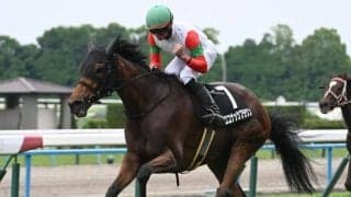 【小倉牝馬S想定騎手】ココナッツブラウンは北村友一騎手、ジョスランはC.ルメール騎手