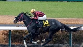 【プロキオンS想定騎手】ブライアンセンスは坂井瑠星騎手、ロードクロンヌは横山和生騎手