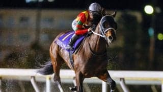 【船橋・報知グランプリC枠順】前走5馬身差Vのグロリアムンディは7枠7番