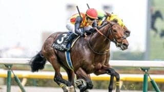 【AI予想・AJCC】特殊な舞台で行われる伝統の一戦！ 中山芝2200mでの実績に重きを置いた人工知能の本命候補とは