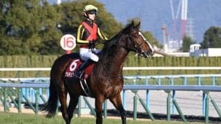 “連対率26.4％”の最適条件で重賞初制覇 ゲルチュタールの日経新春杯Vを血統面から振り返る