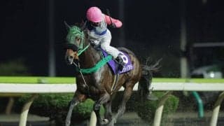 岩手競馬2025年度表彰馬決定…年度代表馬にサクラトップキッド