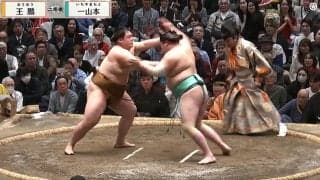 大相撲に「貴族みたい」と“ただならぬ存在感”の着物姿の人物が鎮座 “推し力士”まさかの負け越しに「がっかり」な瞬間も