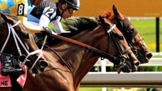 【AJCC／前走ローテ】ショウヘイとジョバンニは“勝率10％未満”の鬼門　中心は「重賞3着以内」条件ドンピシャの古豪