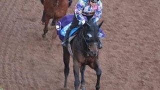 ヤマニンウルスなど、先週の入厩情報/栗東トレセンニュース