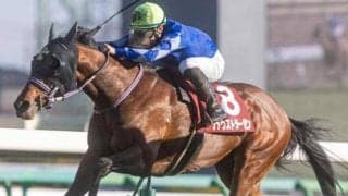 【AJCC】弥生賞覇者のファウストラーゼン 須貝厩舎に転厩しての復帰戦だ