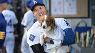 巨大な愛犬デコピンが“初登場”　大谷らLAスターと堂々共演…新たな名物スポットに