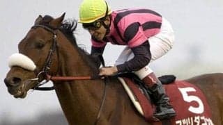 中山巧者が魅せた重賞初勝利 マツリダゴッホが制した07年AJCCを振り返る