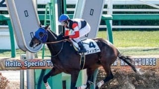 【船橋・ブルーバードC注目馬】ダート三冠に向けた登竜門 大舞台に向けて羽ばたく馬は