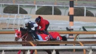 フォーエバーヤング、サウジC追い切り速報/栗東トレセンニュース