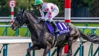 【AJCC】史上最多7勝の横山典弘騎手 マテンロウレオで4年ぶり戴冠なるか