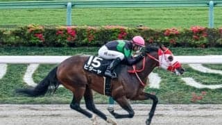 【根岸S想定】ビダーヤ、マテンロウコマンドなど19頭