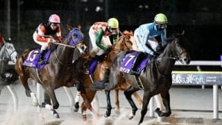 【ブルーバードカップ】初黒星カタリテ・高杉吏麒「いい形でマークされた」…JRAフィンガーが快勝