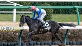 【プロキオンS展望】前走1番人気馬の信頼度高し、みやこS組にも注目
