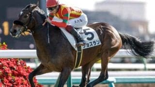【小倉牝馬S出走馬・騎手確定】ジョスラン＆C.ルメール騎手、ココナッツブラウン＆北村友一騎手など18頭