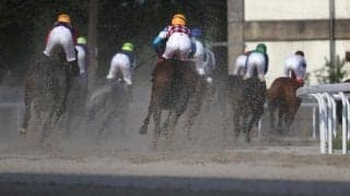 【笠松・白銀争覇結果】ダグフォースが重賞初制覇