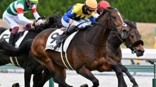 【若駒S】全姉は名牝ディアドラ イベントホライゾンがデビュー2連勝なるか