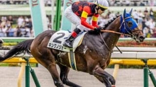 【壇之浦S】半兄はジャスティンパレス セレクト3.1億円のキングノジョーがオープン入り狙う