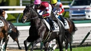 半兄は17年2歳王者のダノンプレミアム 「ウマ娘」藤田晋オーナーのドンテスタマスターが確勝期す2戦目だ