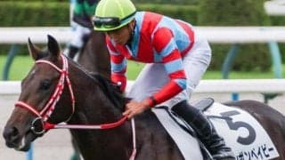 セレクト3.3億円のコントレイル産駒 ボンボンベイビーが待望の初勝利なるか