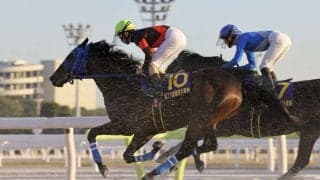 TCKの星・ディクテオン、ワールドベストレースホースランキング71位タイ…地方競馬所属馬として史上初の快挙
