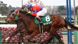 ライラックが引退…繁殖入り