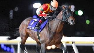 【船橋・報知グランプリC結果】1番人気グロリアムンディが重賞3勝目を挙げる