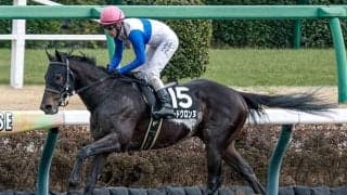 【プロキオンS枠順確定】ロードクロンヌは7枠13番、ブライアンセンスは5枠9番