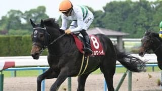 【AJCC枠順確定】ショウヘイは5枠9番、ジョバンニは2枠4番