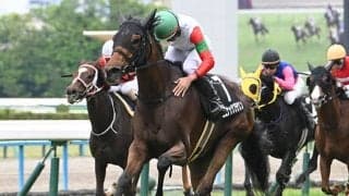 【小倉牝馬S枠順確定】ココナッツブラウンは4枠8番、ジョスランは8枠17番