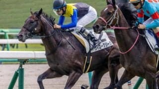 母は名繁殖牝馬のクロウキャニオン ウィロークリークがきょうだい15頭目の勝ち上がりなるか