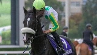 京都芝は意外に逃げ先行馬が残る 睦月Sはニホンピロキーフが狙い目だ