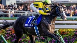 半兄は天皇賞(秋)覇者のマスカレードボール アナザーフェイスがデビュー勝ち狙う