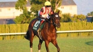 【シルクロードS想定馬・騎手】エーティーマクフィ、ヤブサメなど21頭