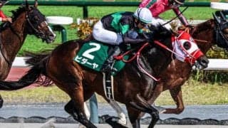 【根岸S想定馬・騎手】ビダーヤ、エンペラーワケアなど23頭