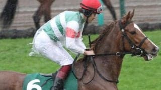 小倉牝馬Sは道悪かも 久々芝参戦のパルクリチュードに注目だ