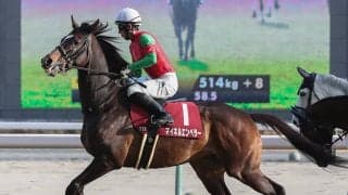 【競馬予想】AJCCも明け４歳馬が優勢　不気味なのはここに照準を合わせてきた「いぶし銀」