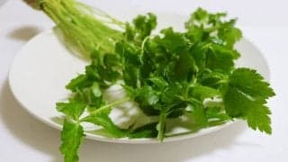 実は栄養たくさん！「三つ葉」